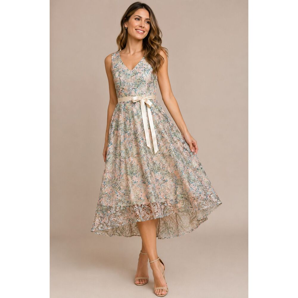 Tahari ASL Floral Embroidered Tulle Midi Dress Cream Pink Blue Size 6